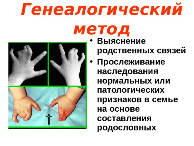 Генеалогический метод Выяснение родственных связей Прослеживание наследования нормальных или патологических признаков в семье на основе составления родословных 