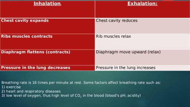Inhalation : Exhalation: Chest cavity expands Chest cavity reduces Ribs muscles contracts Rib muscles relax Diaphragm flattens (contracts) Diaphragm move upward (relax) Pressure in the lung decreases Pressure in the lung increases Breathing rate is 16 times per minute at rest. Some factors affect breathing rate such as: 1) exercise 2) heart and respiratory diseases 3) low level of oxygen, thus high level of CO 2 in the blood (blood's pH; acidity) 