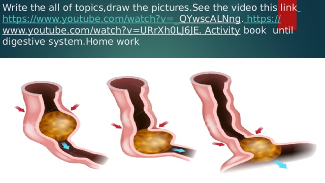 Write the all of topics,draw the pictures.See the video this link  https://www.youtube.com/watch?v=_ QYwscALNng .  https:// www.youtube.com/watch?v=URrXh0LJ6JE. Activity book until  digestive system.Home work 
