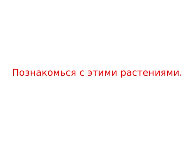 Познакомься с этими растениями. 