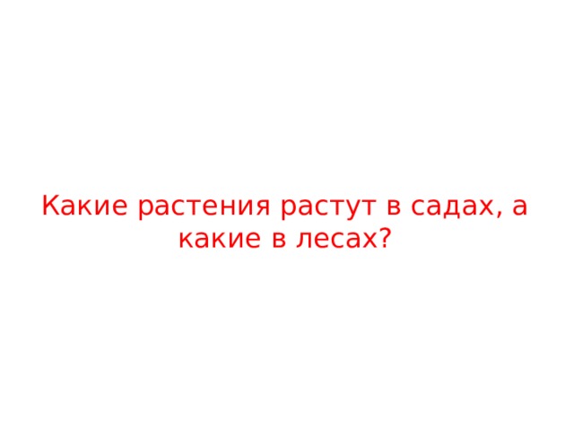 Какие растения растут в садах, а какие в лесах? 