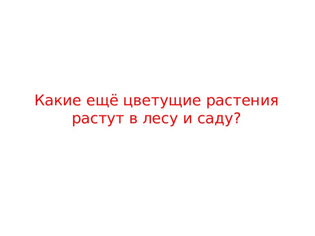Какие ещё цветущие растения растут в лесу и саду? 