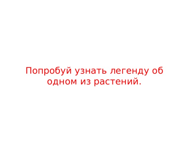 Попробуй узнать легенду об одном из растений. 
