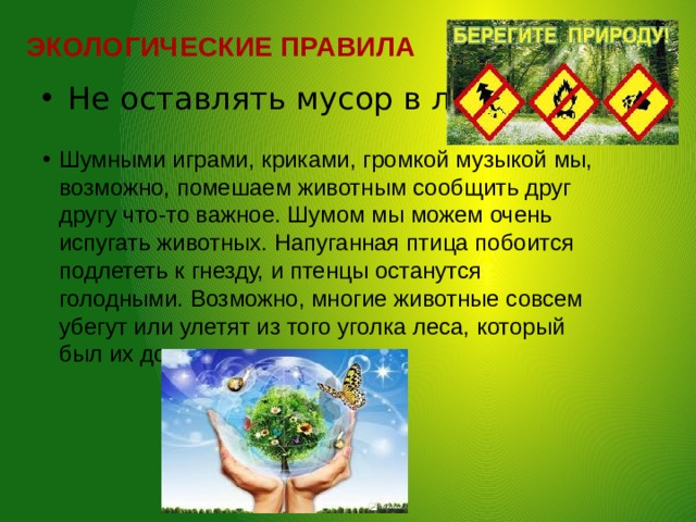 ЭКОЛОГИЧЕСКИЕ  ПРАВИЛА  Не оставлять мусор в лесу. Шумными играми, криками, громкой музыкой мы, возможно, помешаем животным сообщить друг другу что-то важное. Шумом мы можем очень испугать животных. Напуганная птица побоится подлететь к гнезду, и птенцы останутся голодными. Возможно, многие животные совсем убегут или улетят из того уголка леса, который был их домом. 