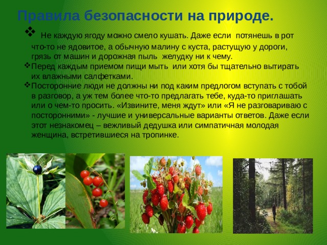 Правила безопасности на природе.     Не каждую ягоду можно смело кушать. Даже если потянешь в рот что-то не ядовитое, а обычную малину с куста, растущую у дороги, грязь от машин и дорожная пыль желудку ни к чему. Перед каждым приемом пищи мыть или хотя бы тщательно вытирать их влажными салфетками. Посторонние люди не должны ни под каким предлогом вступать с тобой в разговор, а уж тем более что-то предлагать тебе, куда-то приглашать или о чем-то просить. «Извините, меня ждут» или «Я не разговариваю с посторонними» - лучшие и универсальные варианты ответов. Даже если этот незнакомец – вежливый дедушка или симпатичная молодая женщина, встретившиеся на тропинке. 