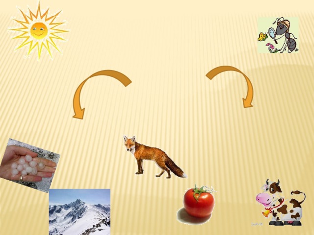 Живая ПРИРОДА Неживая 