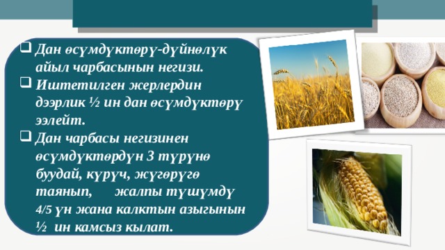 Дан өсүмдүктөрү-дүйнөлүк айыл чарбасынын негизи. Иштетилген жерлердин дээрлик ½ ин дан өсүмдүктөрү ээлейт. Дан чарбасы негизинен өсүмдүктөрдүн 3 түрүнө буудай, күрүч, жүгөрүгө таянып, жалпы түшүмдү 4/5 үн жана калктын азыгынын ½ ин камсыз кылат. 