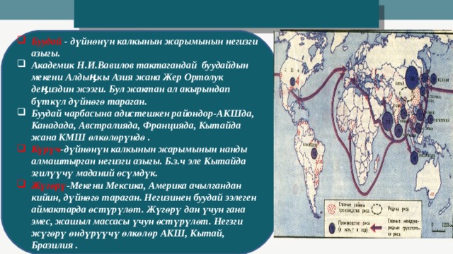 Буудай - дүйнөнүн калкынын жарымынын негизги азыгы. Академик Н.И.Вавилов тактагандай буудайдын мекени Алдыӊкы Азия жана Жер Ортолук деӊиздин жээги. Бул жактан ал акырындап бүткүл дүйнөгө тараган. Буудай чарбасына адистешкен райондор-АКШда, Канадада, Австралияда, Францияда, Кытайда жана КМШ өлкөлөрүндө . Күрүч -дүйнөнүн калкынын жарымынын нанды алмаштырган негизги азыгы. Б.з.ч эле Кытайда эгилүүчү маданий өсүмдүк. Жүгөрү -Мекени Мексика, Америка ачылгандан кийин, дүйнөгө тараган. Негизинен буудай ээлеген аймактарда өстүрүлөт. Жүгөрү дан үчун гана эмес, жашыл массасы үчун өстүрүлөт. Негзги жүгөрү өндүрүүчү өлкөлөр АКШ, Кытай, Бразилия . 