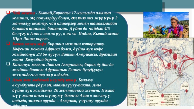 Чай мекени - Кытай,Европага 17-кылымда алынып келинип, эӊ популярдуу болуп, өзгөчө тез жүрүүчү 3 мачталуу кемелер, чай клиперлер менен ташылгандан баштап ташыла баштаган. Дүйнөдө чайдын 4/5 бөлүгүн Азия өлкөлөрү, өзгөчө Индия, Кытай жана Шри-Ланка кирет. Какао менен кофе биринчи мекенин которушту. Кофенин мекени Африка болсо, дүйнөлүк кофе жыйноонун 2/3 бөлүгүн Латын Америкасы, Бразилия жана Колумбия берет. Какаонун мекени Латын Америкасы, бирок дүйнөдө жыйноо боюнча Африканын Гвинея булуӊунун жээгиндеги өлкөлөр алдыда. Азык эмес маданий өсүмдүктөр . Булалуу өсүмдүктөрдүн эӊ маанилүүсу-пахта. Аны дүйнөлүк жыйымы 20 млн тоннага жетет. Пахта эгүү жана анын түшүмү боюнча Азия өлкөлөрү алдыда, экинчи орунда – Америка, үчүнчү орунда – Африка.  