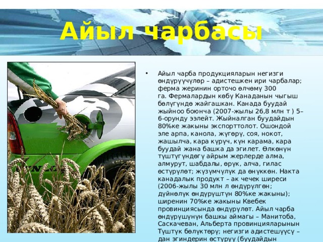 Айыл чарбасы Айыл чарба продукцияларын негизги өндүрүүчүлөр – адистешкен ири чарбалар; ферма жеринин орточо өлчөмү 300 га. Фермалардын көбү Канаданын чыгыш бөлүгүндө жайгашкан. Канада буудай жыйноо боюнча (2007-жылы 26,8 млн т ) 5–6-орунду ээлейт. Жыйналган буудайдын 80%ке жакыны экспорттолот. Ошондой эле арпа, канола, жүгөрү, соя, нокот, жашылча, кара күрүч, күн карама, кара буудай жана башка да эгилет. Өлкөнүн түштүгүндөгү айрым жерлерде алма, алмурут, шабдалы, өрүк, алча, гилас өстүрүлөт; жүзүмчүлүк да өнүккөн. Накта канадалык продукт – ак чечек ширеси (2006-жылы 30 млн л өндүрүлгөн; дүйнөлүк өндүрүштүн 80%ке жакыны); ширенин 70%ке жакыны Квебек провинциясында өндүрүлөт. Айыл чарба өндүрүшүнүн башкы аймагы – Манитоба, Саскачеван, Альберта провинцияларынын Түштүк бөлүктөрү; негизги адистешүүсү – дан эгиндерин өстүрүү (буудайдын 50%тен ашыгы Саскачеван провинциясынан жыйналат); жайытта багылган эт багытындагы мал жана эт-жүн багытындагы кой чарбалары. 