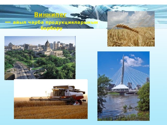 Виннипег    — айыл чарба продукцияларынын борбору 