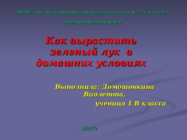 МАОУ «Средняя общеобразовательная школа № 57 г.Улан-Удэ  имени А.Цыденжапова» Как вырастить зеленый лук в домашних условиях Выполнила: Домошонкина Виолетта,  ученица 1 В класса 2017г . 
