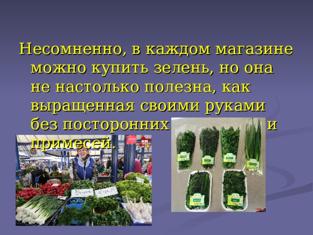 Несомненно, в каждом магазине можно купить зелень, но она не настолько полезна, как выращенная своими руками без посторонних удобрений и примесей. 