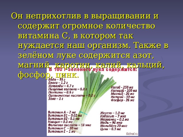 Он неприхотлив в выращивании и содержит огромное количество витамина С, в котором так нуждается наш организм. Также в зелёном луке содержится азот, магний, каротин, калий, кальций, фосфор, цинк. 