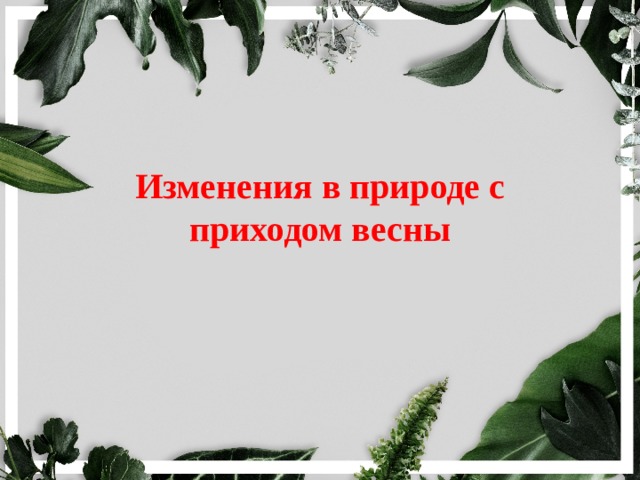 Изменения в природе с приходом весны 