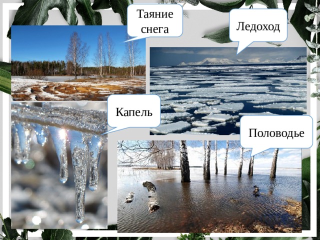 Таяние снега Ледоход Капель Половодье 