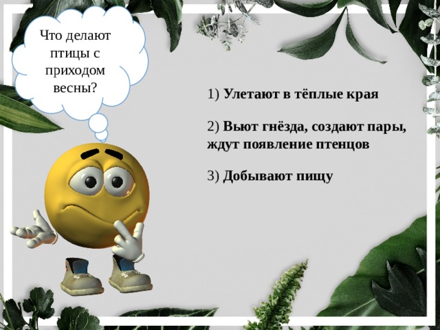 Что делают птицы с приходом весны? 1) Улетают в тёплые края 2) Вьют гнёзда, создают пары, ждут появление птенцов 3) Добывают пищу 