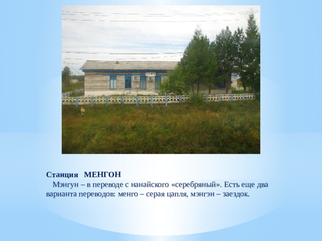 Станция МЕНГОН  Мэнгун – в переводе с нанайского «серебряный». Есть еще два варианта переводов: менго – серая цапля, мэнгэн – заездок. 