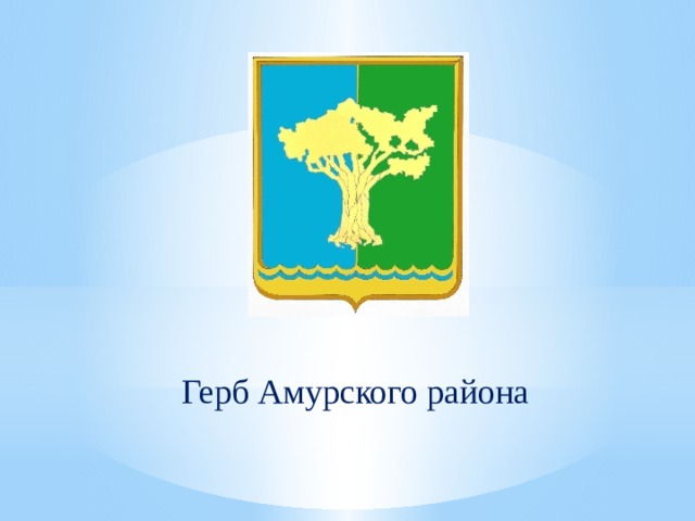 Герб Амурского района 
