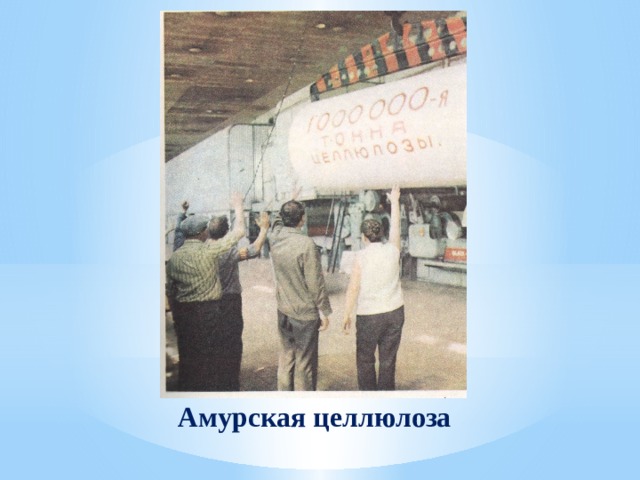 Амурская целлюлоза 