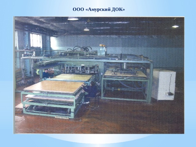 ООО «Амурский ДОК» 
