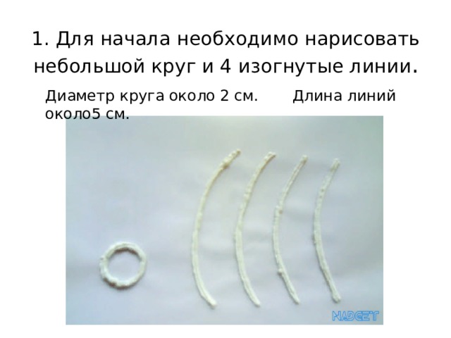 1. Для начала необходимо нарисовать небольшой круг и 4 изогнутые линии . Диаметр круга около 2 см. Длина линий около5 см. 