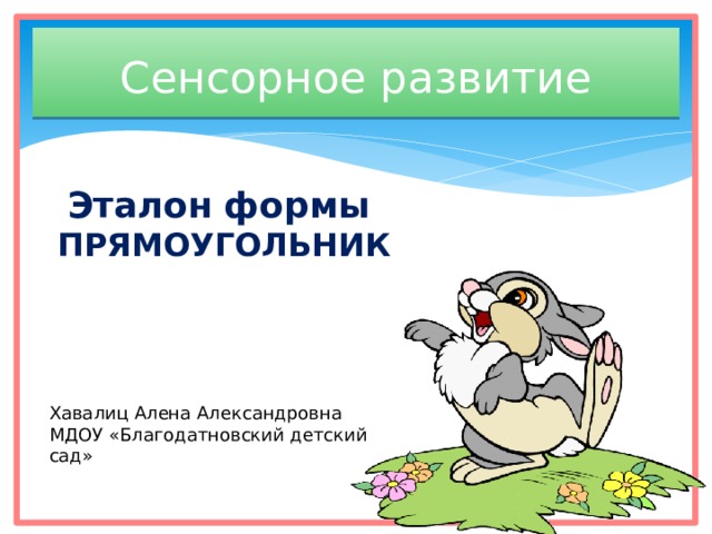 Сенсорное развитие Эталон  формы  ПРЯМОУГОЛЬНИК Хавалиц Алена Александровна МДОУ «Благодатновский детский сад» 