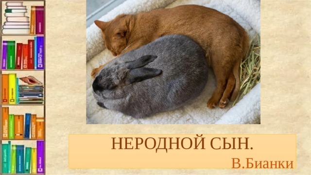 НЕРОДНОЙ СЫН. В.Бианки 