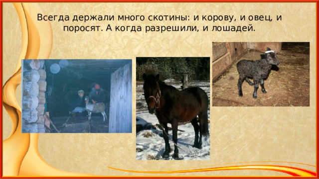 Всегда держали много скотины: и корову, и овец, и поросят. А когда разрешили, и лошадей. 