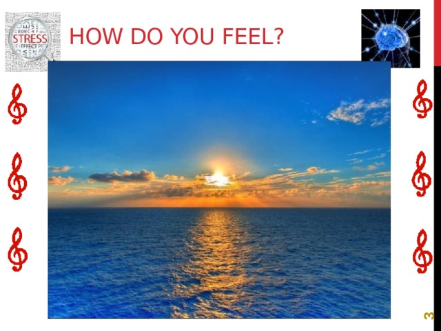  How do you feel? stressed stressed stressed relaxed relaxed relaxed 