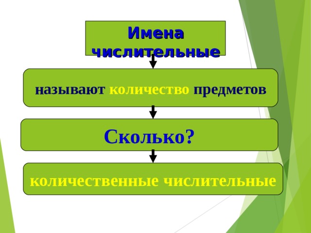 Имена числительные называют количество  предметов Сколько? количественные числительные 