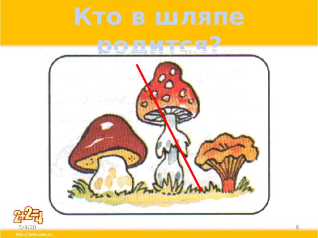 Кто в шляпе родится? 5/4/20  
