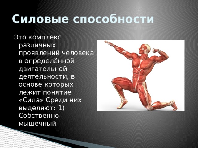 Силовые способности Это комплекс различных проявлений человека в определённой двигательной деятельности, в основе которых лежит понятие «Сила» Среди них выделяют: 1) Собственно-мышечный 