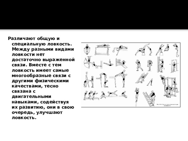 Различают общую и специальную ловкость. Между разными видами ловкости нет достаточно выраженной связи. Вместе с тем ловкость имеет самые многообразные связи с другими физическими качествами, тесно связана с двигательными навыками, содействуя их развитию, они в свою очередь, улучшают ловкость. 
