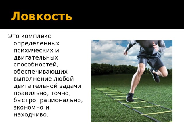 Ловкость Это комплекс определенных психических и двигательных способностей, обеспечивающих выполнение любой двигательной задачи правильно, точно, быстро, рационально, экономно и находчиво. 