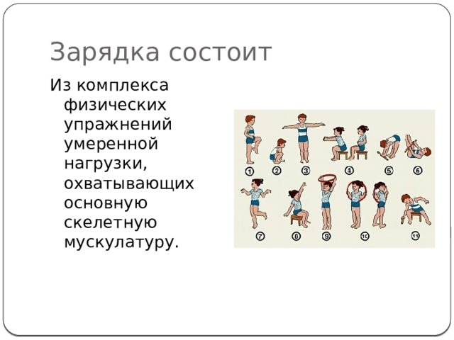 Зарядка состоит Из комплекса физических упражнений умеренной нагрузки, охватывающих основную скелетную мускулатуру. 