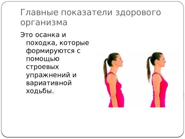 Главные показатели здорового организма Это осанка и походка, которые формируются с помощью строевых упражнений и вариативной ходьбы. 