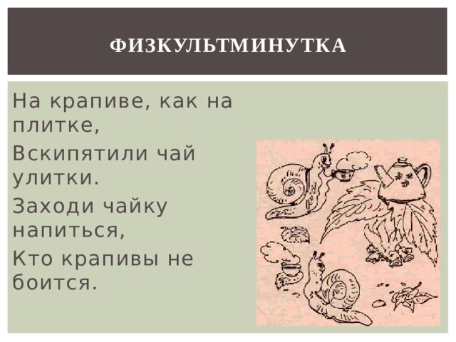 ФИЗКУЛЬТМИНУТКА На крапиве, как на плитке, Вскипятили чай улитки. Заходи чайку напиться, Кто крапивы не боится. 