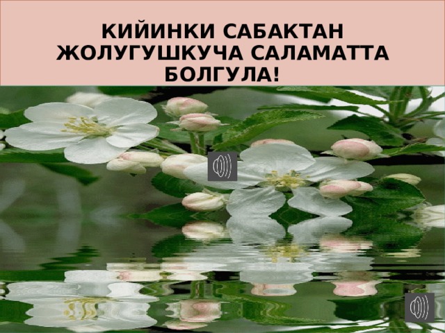 Кийинки сабактан жолугушкуча Саламатта болгула! 