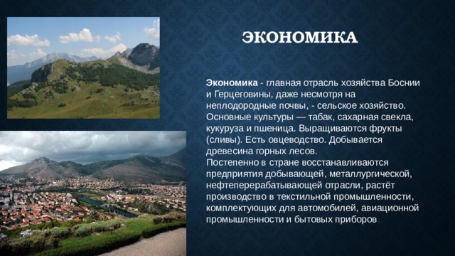 Экономика Экономика  - главная отрасль хозяйства Боснии и Герцеговины, даже несмотря на неплодородные почвы, - сельское хозяйство. Основные культуры — табак, сахарная свекла, кукуруза и пшеница. Выращиваются фрукты (сливы). Есть овцеводство. Добывается древесина горных лесов.  Постепенно в стране восстанавливаются предприятия добывающей, металлургической, нефтеперерабатывающей отрасли, растёт производство в текстильной промышленности, комплектующих для автомобилей, авиационной промышленности и бытовых приборов . 