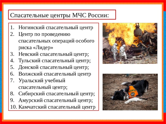 Спасательные центры МЧС России: Ногинский спасательный центр Центр по проведению спасательных операций особого риска «Лидер» Невский спасательный центр; Тульский спасательный центр; Донской спасательный центр; Волжский спасательный центр Уральский учебный спасательный центр; Сибирский спасательный центр; Амурский спасательный центр; Камчатский спасательный центр 