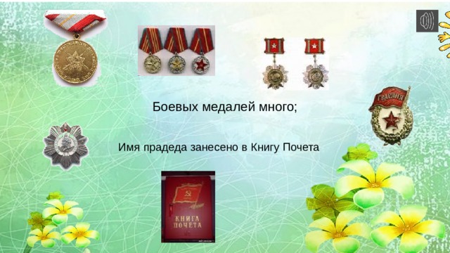  Боевых медалей много;  Имя прадеда занесено в Книгу Почета 