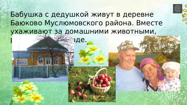 Бабушка с дедушкой живут в деревне Баюково Муслюмовского района. Вместе ухаживают за домашними животными, работают в огороде.  