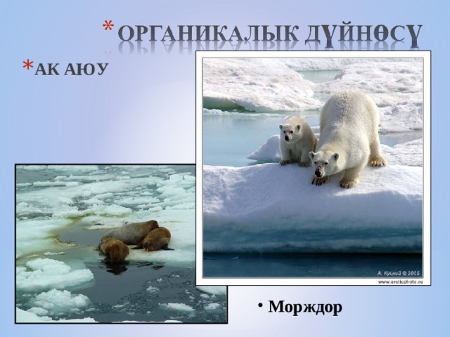 АК АЮУ  Морждор  