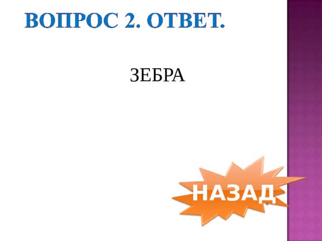 ЗЕБРА НАЗАД 