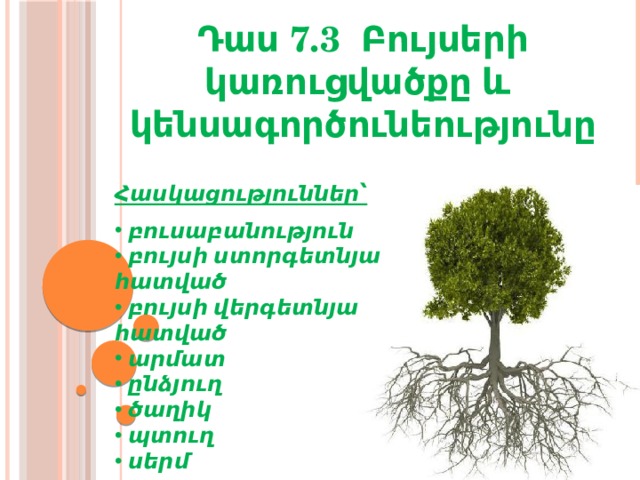 Դաս 7.3 Բույսերի կառուցվածքը և կենսագործունեությունը Հասկացություններ՝   բուսաբանություն  բույսի ստորգետնյա հատված  բույսի վերգետնյա հատված  արմատ  ընձյուղ  ծաղիկ  պտուղ  սերմ 