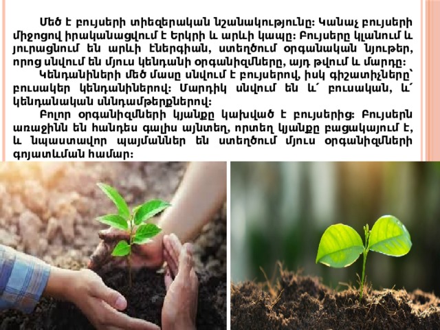 Մեծ է բույսերի տիեզերական նշանակությունը: Կանաչ բույսերի միջոցով իրականացվում է Երկրի և արևի կապը: Բույսերը կլանում և յուրացնում են արևի էներգիան, ստեղծում օրգանական նյութեր, որոց սնվում են մյուս կենդանի օրգանիզմները, այդ թվում և մարդը: Կենդանիների մեծ մասը սնվում է բույսերով, իսկ գիշատիչները՝ բուսակեր կենդանիներով: Մարդիկ սնվում են և՛ բուսական, և՛ կենդանական սննդամթերքներով: Բոլոր օրգանիզմների կյանքը կախված է բույսերից: Բույսերն առաջինն են հանդես գալիս այնտեղ, որտեղ կյանքը բացակայում է, և նպաստավոր պայմաններ են ստեղծում մյուս օրգանիզմների գոյատևման համար: 