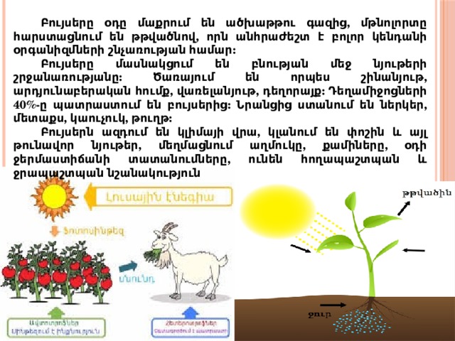 Բույսերը օդը մաքրում են ածխաթթու գազից, մթնոլորտը հարստացնում են թթվածնով, որն անհրաժեշտ է բոլոր կենդանի օրգանիզմների շնչառության համար: Բույսերը մասնակցում են բնության մեջ նյութերի շրջանառությանը: Ծառայում են որպես շինանյութ, արդյունաբերական հումք, վառելանյութ, դեղորայք: Դեղամիջոցների 40%-ը պատրաստում են բույսերից: Նրանցից ստանում են ներկեր, մետաքս, կաուչուկ, թուղթ: Բույսերն ազդում են կլիմայի վրա, կլանում են փոշին և այլ թունավոր նյութեր, մեղմացնում աղմուկը, քամիները, օդի ջերմաստիճանի տատանումները, ունեն հողապաշտպան և ջրապաշտպան նշանակություն 
