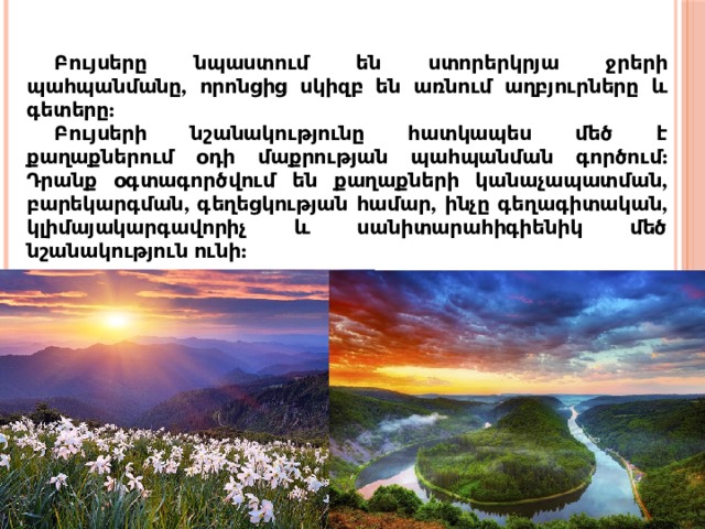 Բույսերը նպաստում են ստորերկրյա ջրերի պահպանմանը, որոնցից սկիզբ են առնում աղբյուրները և գետերը: Բույսերի նշանակությունը հատկապես մեծ է քաղաքներում օդի մաքրության պահպանման գործում: Դրանք օգտագործվում են քաղաքների կանաչապատման, բարեկարգման, գեղեցկության համար, ինչը գեղագիտական, կլիմայակարգավորիչ և սանիտարահիգիենիկ մեծ նշանակություն ունի: 