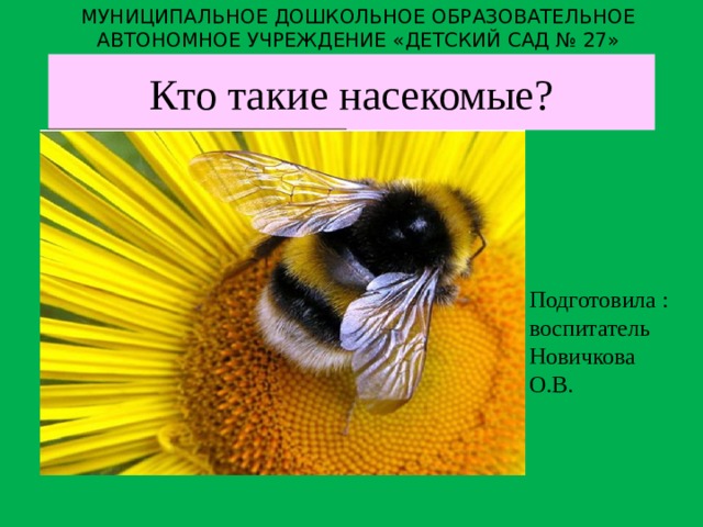 МУНИЦИПАЛЬНОЕ ДОШКОЛЬНОЕ ОБРАЗОВАТЕЛЬНОЕ АВТОНОМНОЕ УЧРЕЖДЕНИЕ «ДЕТСКИЙ САД № 27» Кто такие насекомые?    Подготовила : воспитатель Новичкова О.В. 
